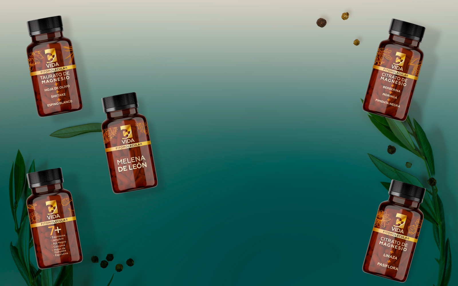 C-Vida suplementos con enfoque fitomolecular